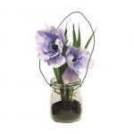 Anemoon Paars- Wit in glas 16 cm