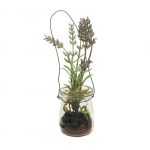 Lavendel in glas 16 cm