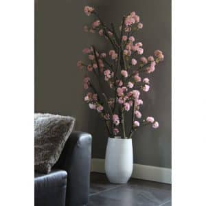 Kersen Bloesemboom Dubbel. Incl. pot  ± 150 cm