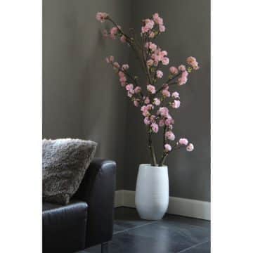 Kersen Roze Bloesemboom. Incl pot. ± 150 cm