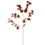 Eucalyptus Rood/Groen 85 cm