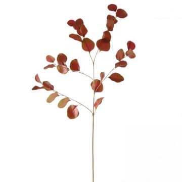 Eucalyptus Rood/Groen 85 cm