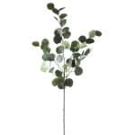 Eucalyptus Groen 85 cm