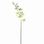 Orchidee Zachtgroen 85 cm