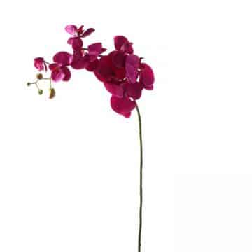 Orchidee Paars 100 cm