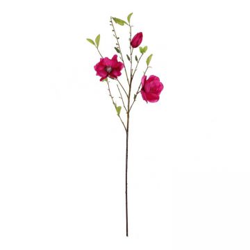 Magnolia Fuchsia 85 cm