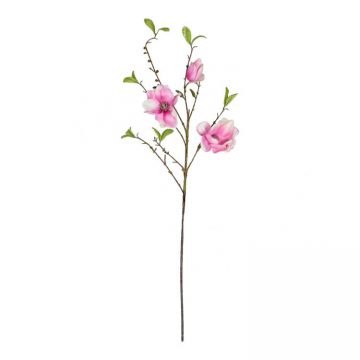 Magnolia Roze 85 cm