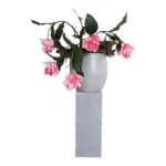 Medinella Decoratie op lage zuil