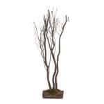 Naturel Boomstam-takken 120 cm