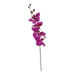 Orchidee Lila 75 cm