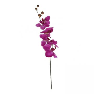 Orchidee Lila 75 cm