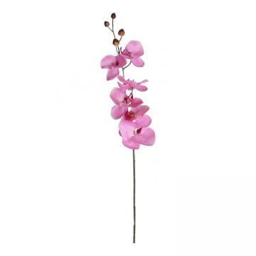 Orchidee Roze 75 cm