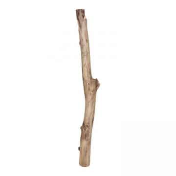 Oud Eikenstam 120 cm doorsnee ±  8 cm