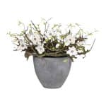 Decoratie  White Magnolia