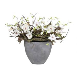 Decoratie  White Magnolia
