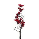 Rozenbottel Donkerrood 40 cm