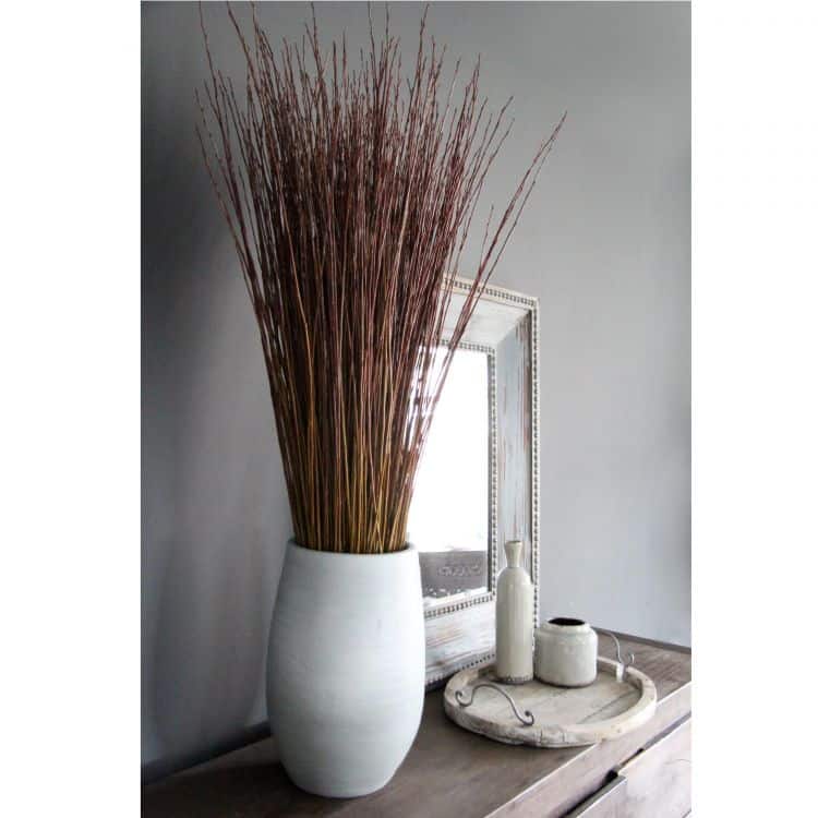 voor eeuwig reptielen naaien Set Wilgen - Naturel - 120 cm(excl. pot) | Decoratietakken