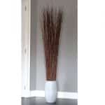 Decoratie Wilgen Naturel 165 cm (incl. pot)