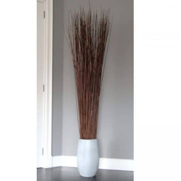 Decoratie Wilgen Naturel 165 cm (incl. pot)