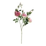 Wilde Roos Roze-Groen 100 cm