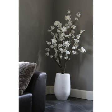 Witte Bloesemboom ± 150  (incl. witte  pot)