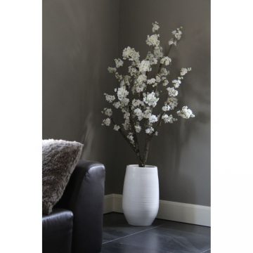 Witte Bloesemboom ± 150 cm (excl. pot)