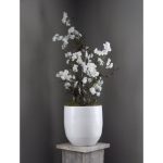 Wit Bloesemboompje ± 100 cm (excl. pot)