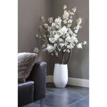 Witte Bloesemboom Dubbel ± 150 cm (excl. pot)