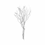Witte Takkenstruik 120 cm