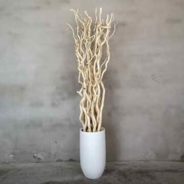 Takken in pot