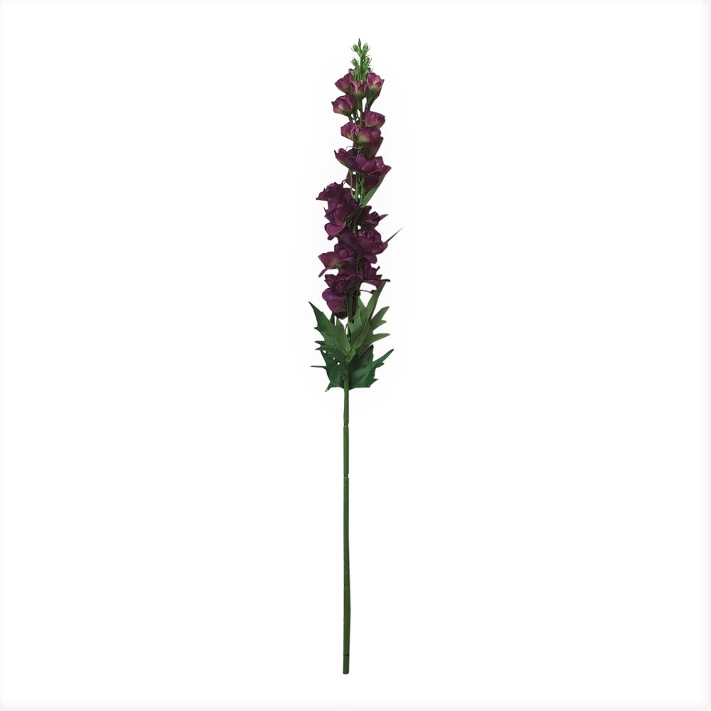 Ridderspoor - Aubergine - 70cm