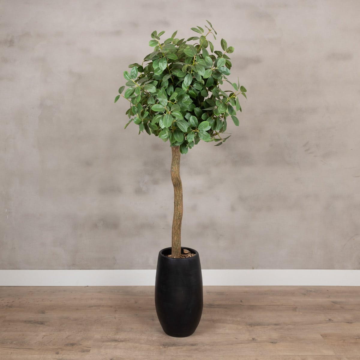 Boom Palermo– 165cm(incl. pot)