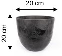 Anthraciet