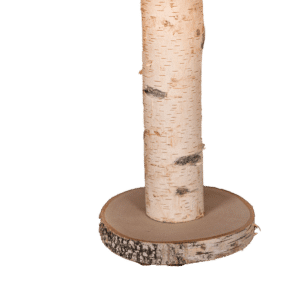 Berken houtschijf Ø 25cm