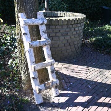 Berken Decoratieladder met halve stammen | 100cm