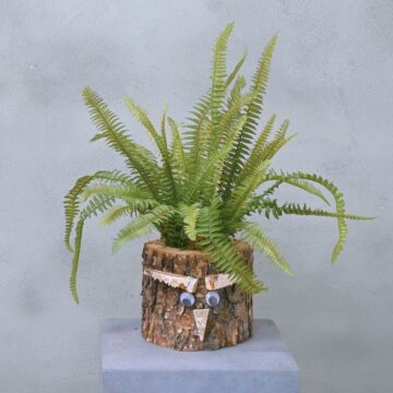 Eikenstammetje | Varenwoud | 30cm