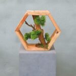 Hexa | Japandi Stijl | 25cm