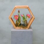 Hexa | Botanische Tuin | 25cm