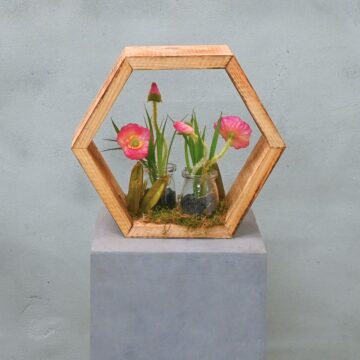 Hexa | Botanische Tuin | 25cm