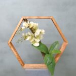 Hexa | Orchidee Geluk | 50cm