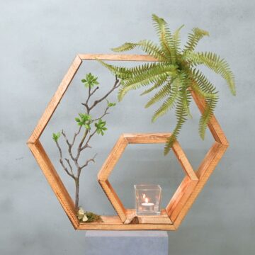 Hexa | Urban Jungle | 50cm