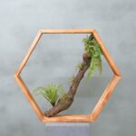 Hexa | Koloniaal groen | 50cm