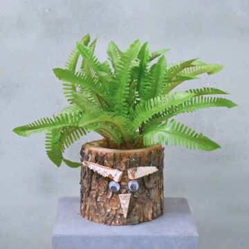 Eikenstammetje | Bosrijk | 30cm