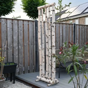 Berken Roomdivider | Jorn | Met berkenstam voet | 60x25x200