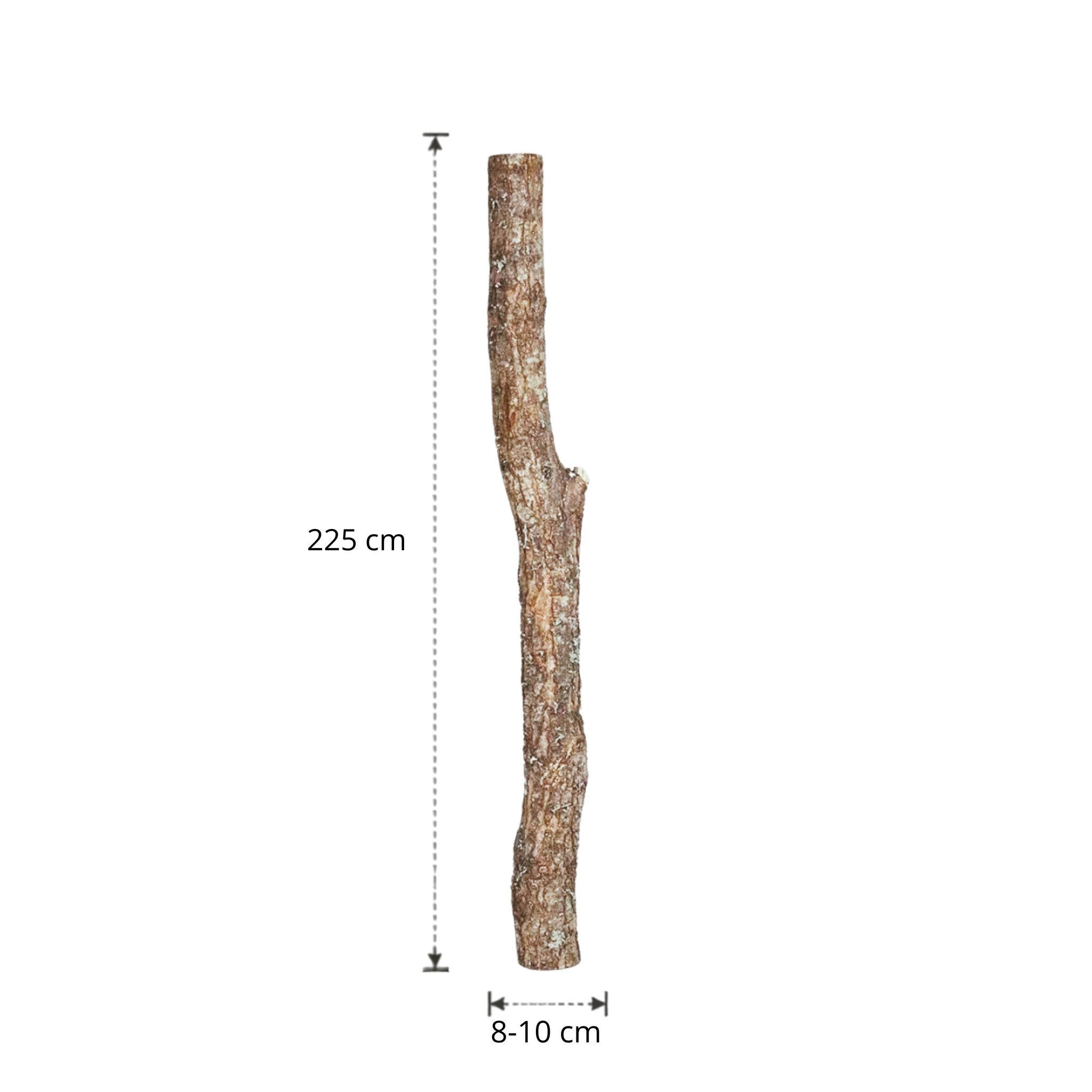 Eikenstam met bast | 225 cm | Diameter van 8 tot 10 cm
