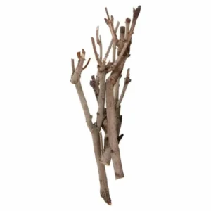 3 Seringentakken Smal 40-60cm