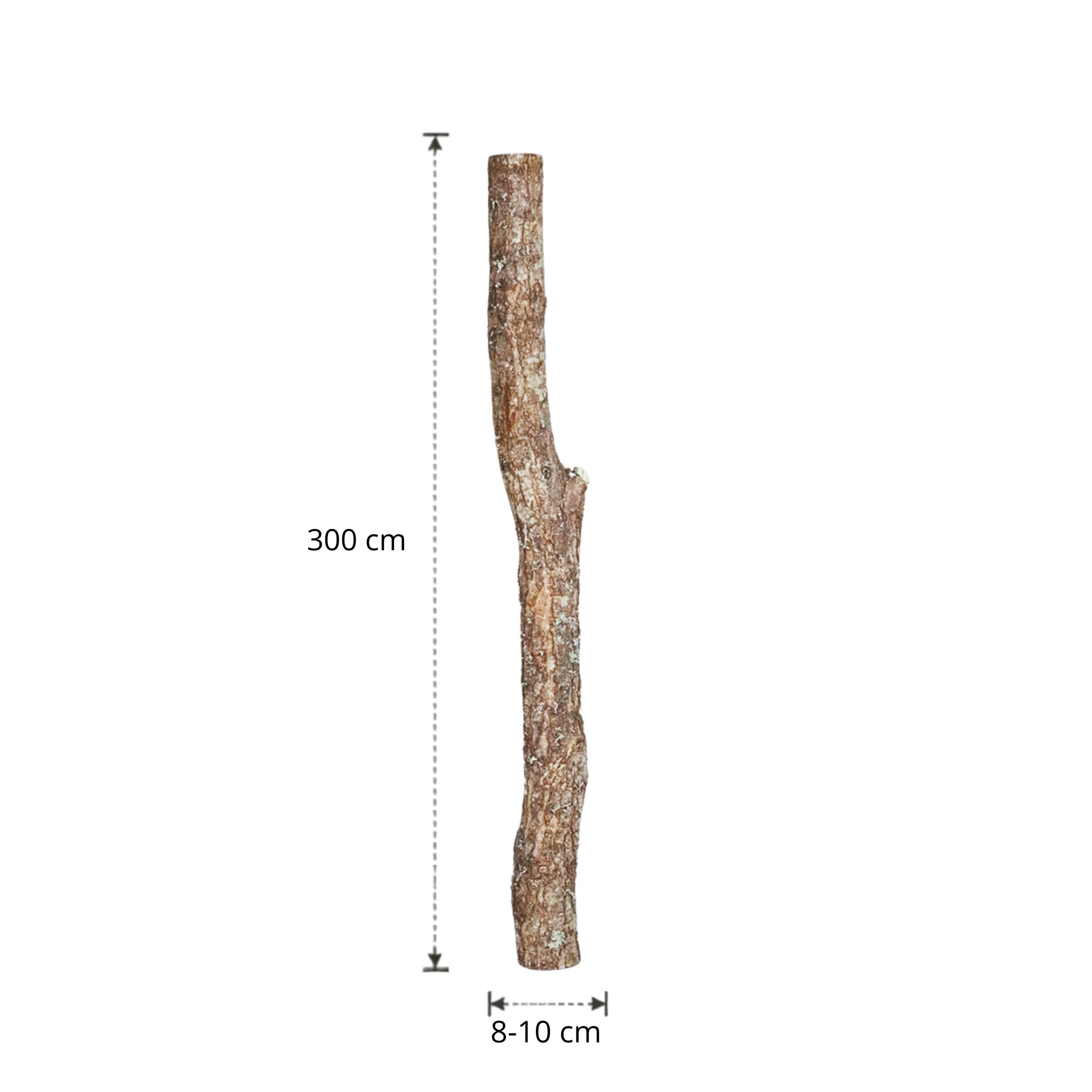Eikenstam met bast | 300 cm | Diameter van 8 tot 10 cm