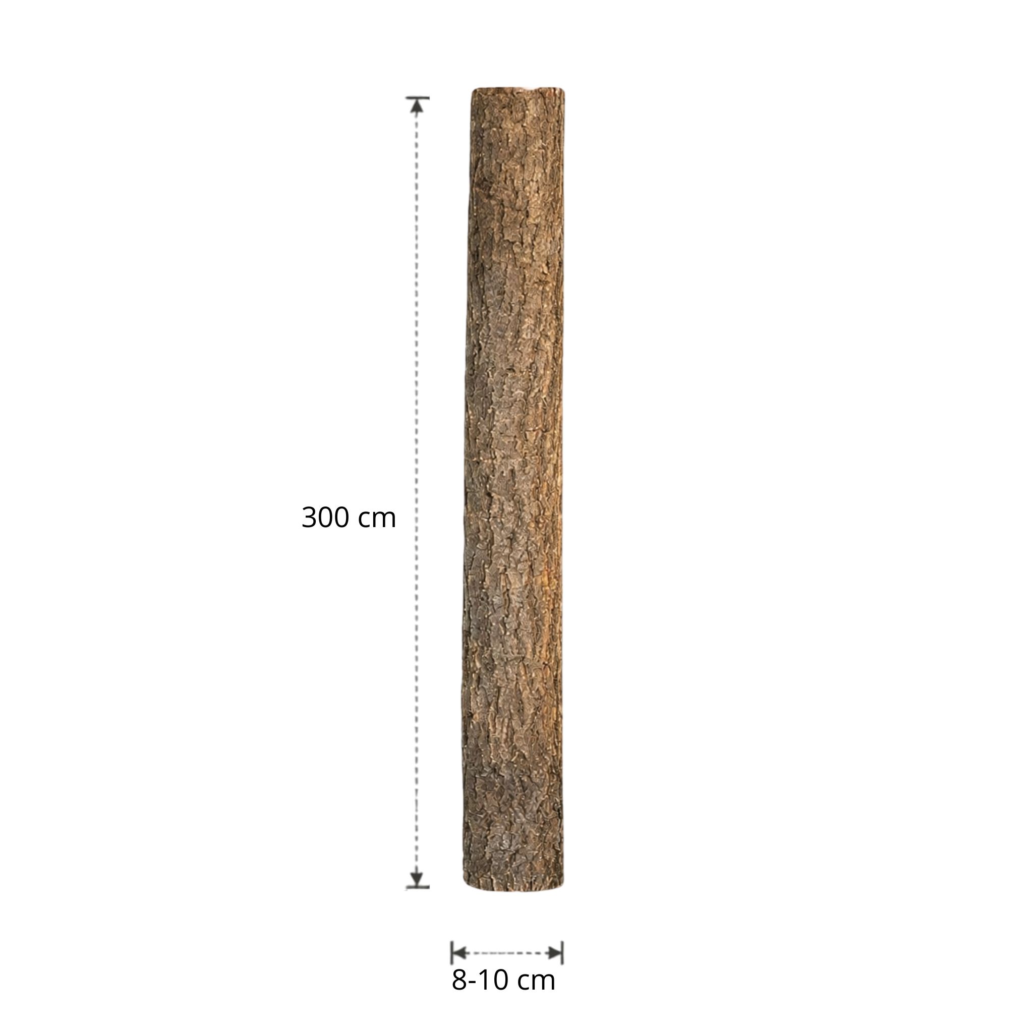 Lindenstam | 300 cm | Diameter van 8 tot 10 cm
