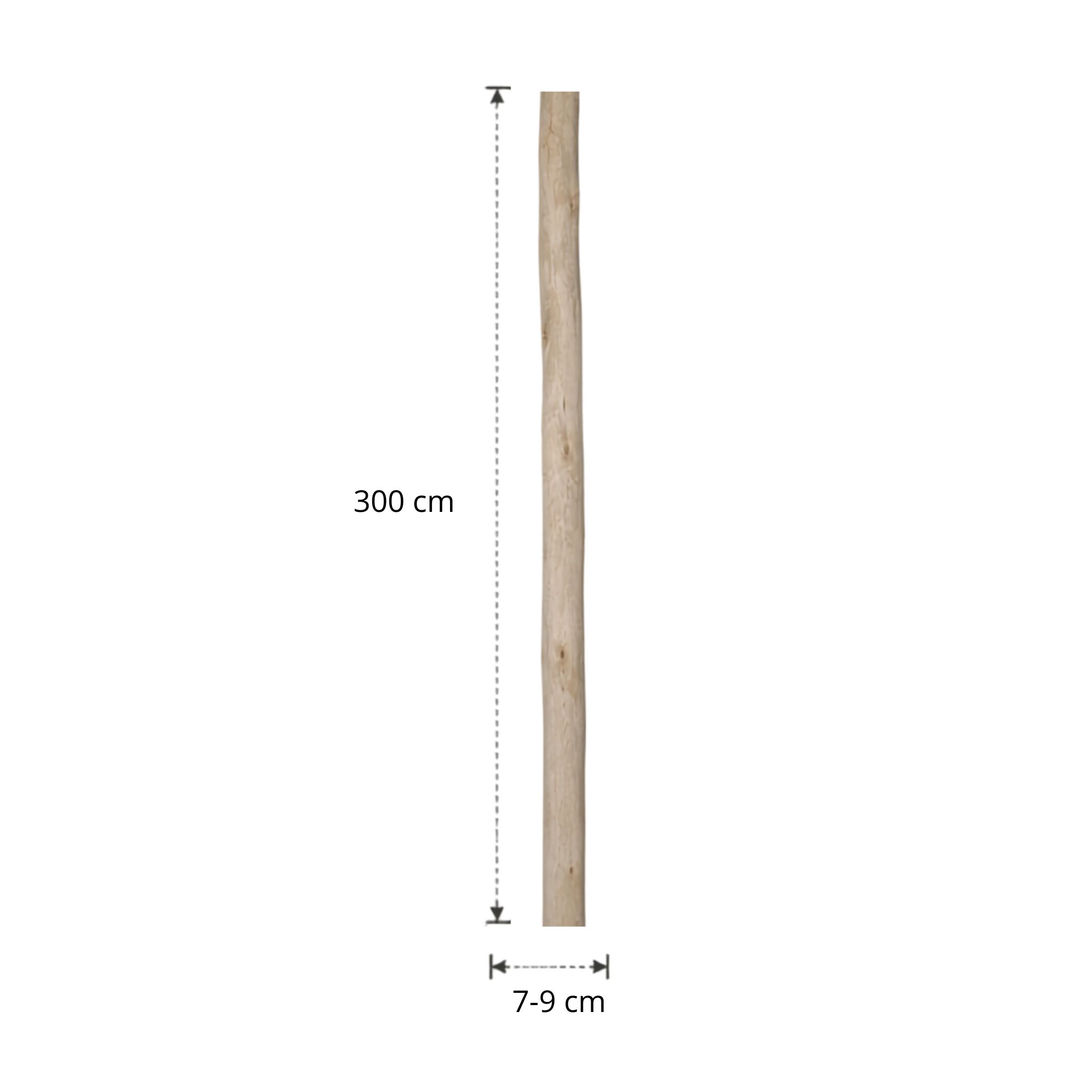 Ontschorste stam | 300 cm | Diverse diameters