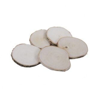 5 Houtschijfjes Berk Glad geschuurd aan een kant10-12 cm